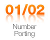 VoIP Number Porting