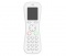 Polycom Kirk Butterfly handset