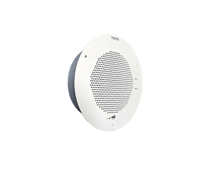 CyberData SynApps Enabled Speaker Gray White (RAL 9002) 011104