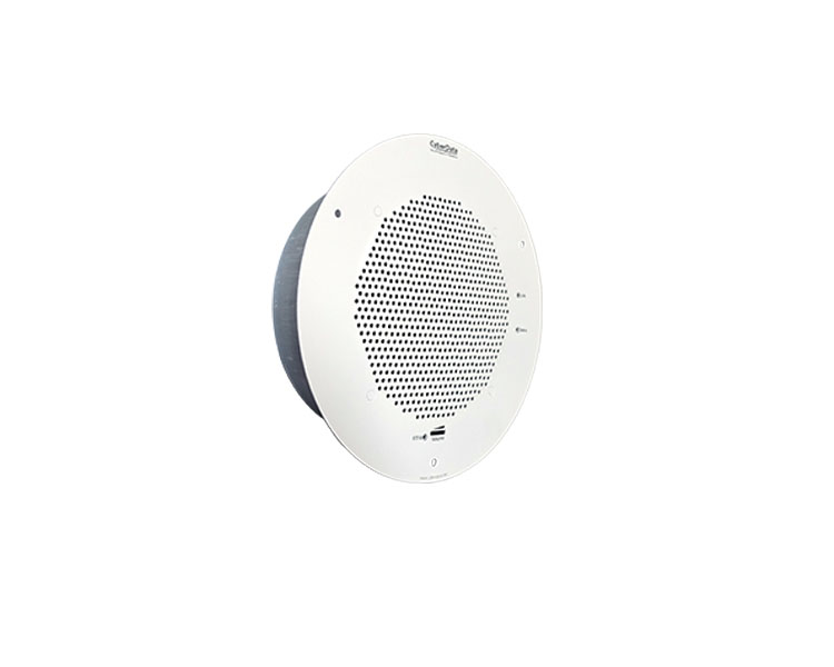 CyberData Singlewire InformaCast Talk-Back Speaker 011399 (RAL 9002, Gray White)