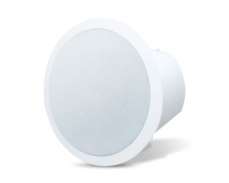 2N Audio Decoder - Ceiling Loudspeaker (914031E)