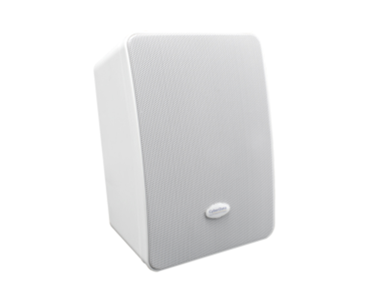 CyberData InformaCast Enabled Wall Mount Speaker (011505)