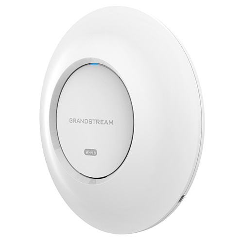 Grandstream GWN7660E Enterprise-Grade Wi-Fi 6 Access Point (GWN7660E)