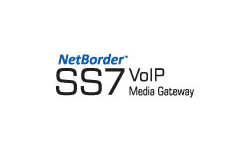 Sangoma NetBorder SS7G-FLEX-324UP Flex 4 T1/E1 License Upgrade (Applies to FLEX 32 only)